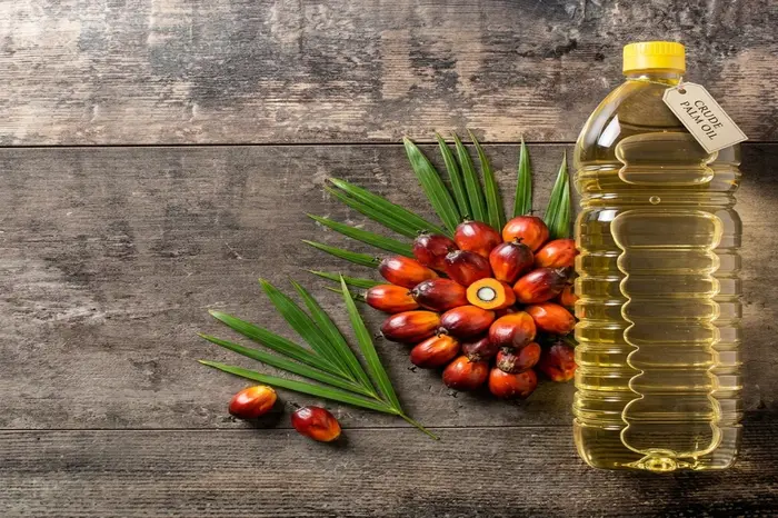 Crude Palm Oil (CPO) Transportation