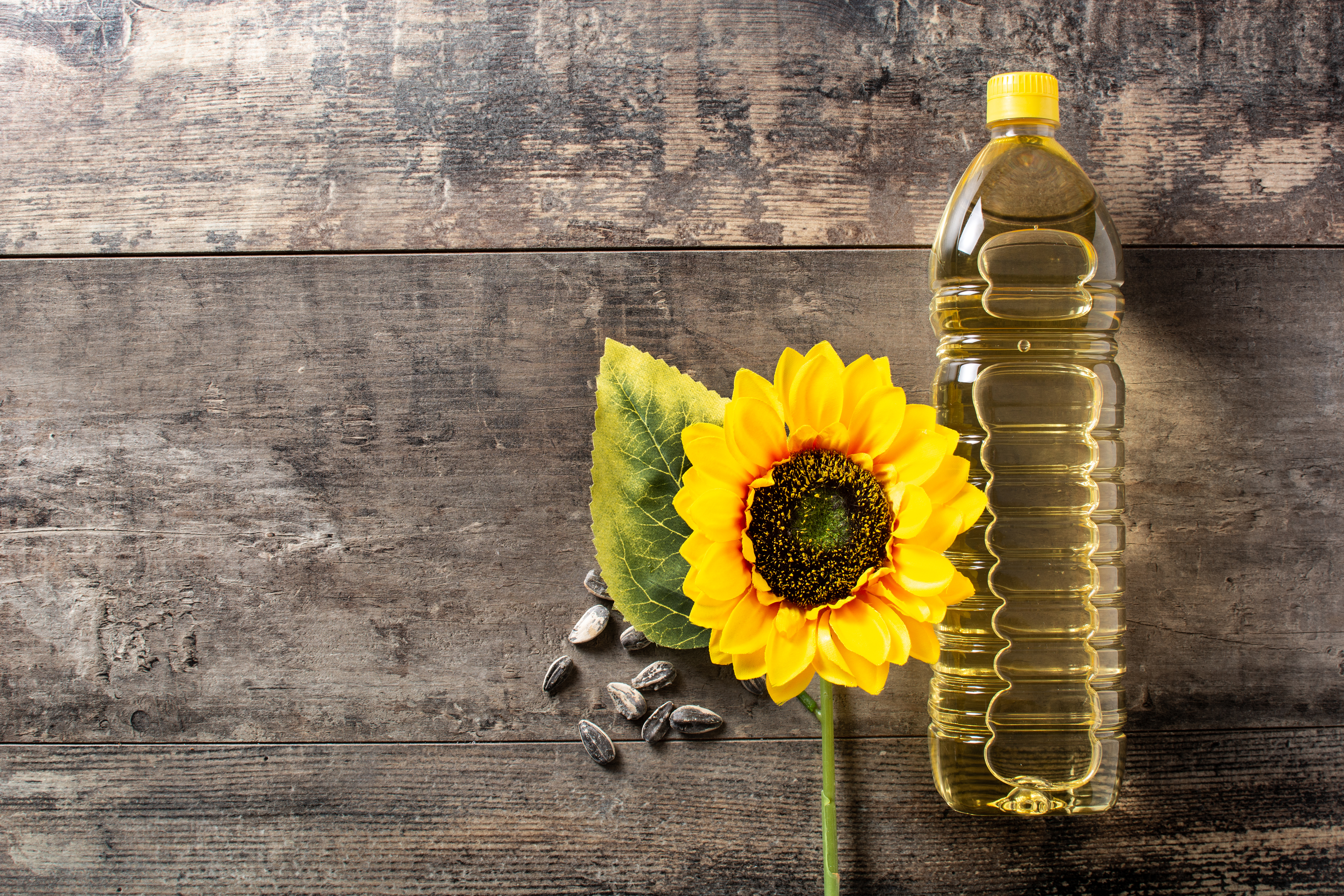 Sunflower Oil Transportation